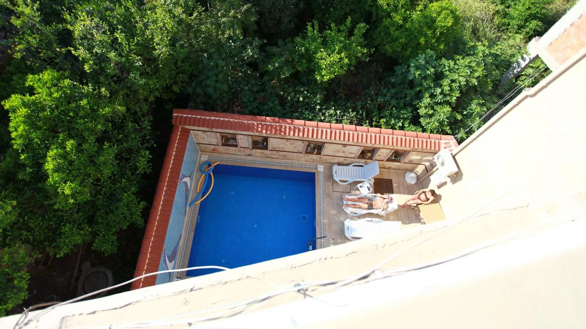 Bacchus Pansiyon Antalya 2*,  Türkiye